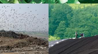 Raport Frost & Sullivan: Energia z odpadów - współpraca sektora energetycznego i firm utylizujących odpady kluczowa dla poprawy efektywności rynku