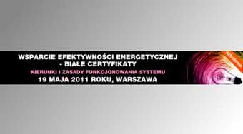 Wsparcie efektywności energetycznej - białe certyfikaty. Kierunki i zasady funkcjonowania systemu