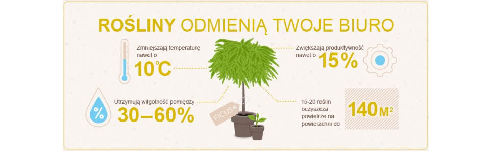 15 pomysłów, aby Twoje biuro było bardziej ecofriendly