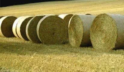 Kotły z dedykacją dla biomasy