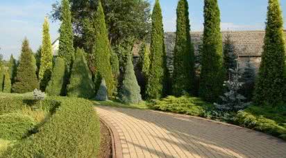 Zakładamy ogród. Wybór odpowiednich roślin