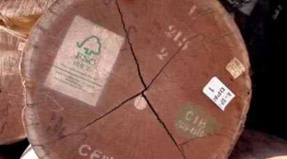 DLH Poland w zgodzie ze środowiskiem