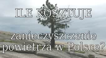WHO: koszty zanieczyszczenia powietrza w Polsce to 101,8 mld dolarów