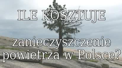 WHO: koszty zanieczyszczenia powietrza w Polsce to 101,8 mld dolarów
