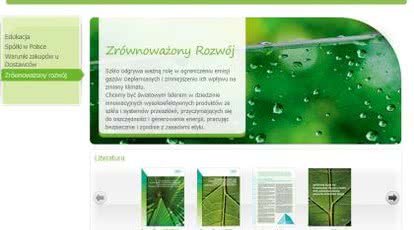 Działania Pilkington Polska i NSG Group w raporcie dobrych praktyk CSR