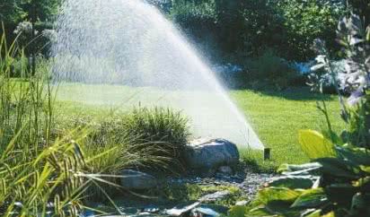 Jak efektywnie oszczędzać wodę przy nawadnianiu zieleni?