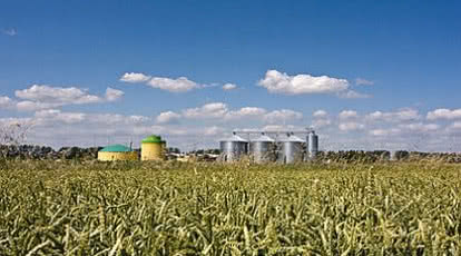 Energetyka odnawialna dzięki biogazowniom