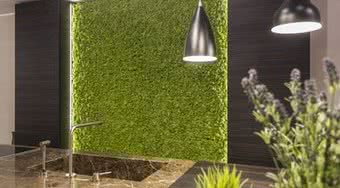 Naturalny mech Moss Trend® - ekologiczna dekoracja na ściany