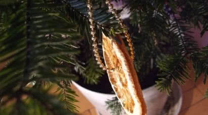 Ekologiczna choinka w Twoim domu