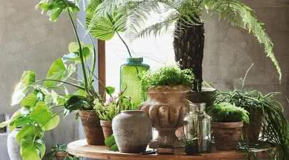 Trend ekologiczny we wnętrzach