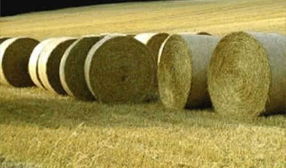 Czy odpady komunalne i biomasa ogrzeją nasze domy?