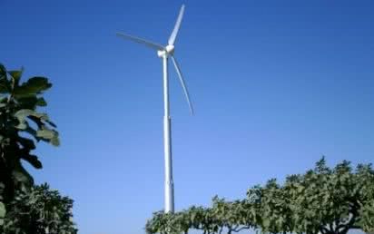 Tania i czysta energia elektryczna z wiatru