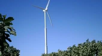 Tania i czysta energia elektryczna z wiatru