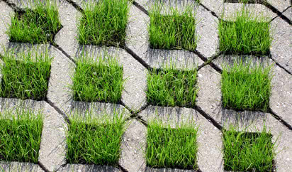 Nadmiar wody na podjeździe. Jak rozwiązać ten problem?