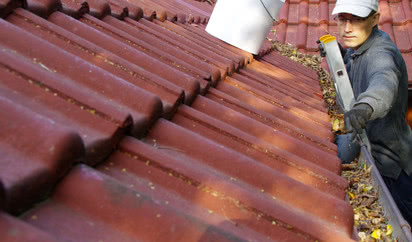 Wiosenne porządki wokół domu