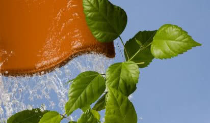 Zdrowe i energooszczędne materiały budowlane