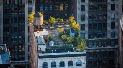 Jak wykonać ogród na dachu?