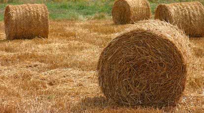 Energetyka odnawialna - najlepsze praktyki