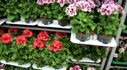 Dlaczego Polacy dbają o naturę?