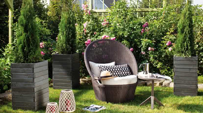 Zadbane drewno wokół domu