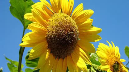 Polska atrakcyjna dla inwestycji w zieloną energię